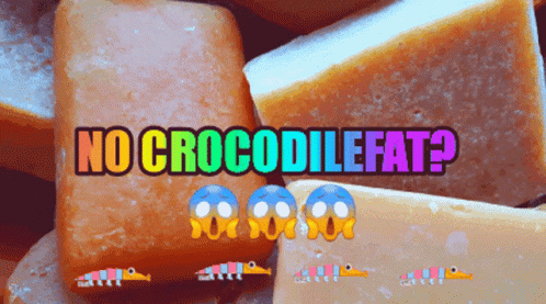 No Crocodilefat Croco GIF - No Crocodilefat Croco No Croco GIFs
