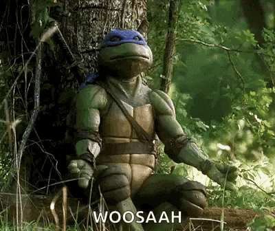 a teenage mutant ninja turtle is sitting under a tree in the woods and saying woosaah .