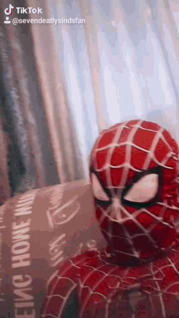 a person dressed as spider man is sitting on a couch