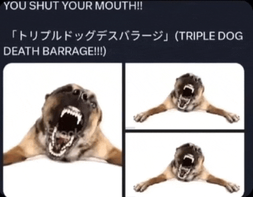 a picture of a dog with its mouth open and a caption that says you shut your mouth