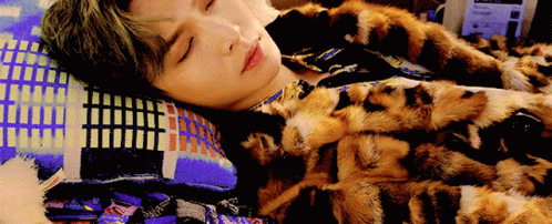 Zhang Yixing Lay Sleeping GIF
