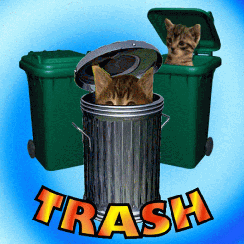 Trash Cats GIF - Trash Cats Kittens GIFs