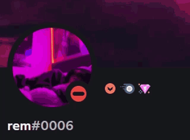 a screenshot of a person 's profile with rem # 006