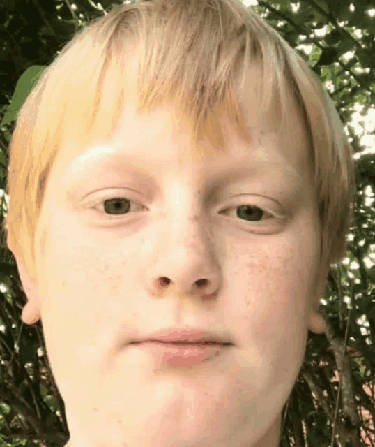 a close up of a boy 's face with freckles