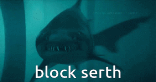 Block Serth Shark GIF - Block Serth Shark Bite GIFs