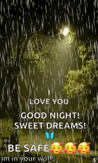 i love you good night sweet dreams ! be safe i 'm in your walls