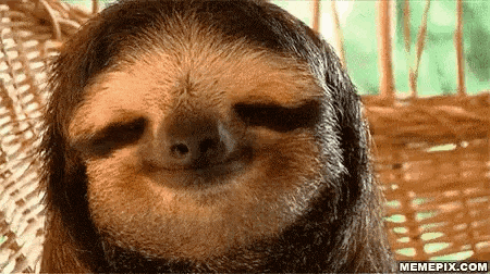 a close up of a smiling sloth sitting in a wicker basket .