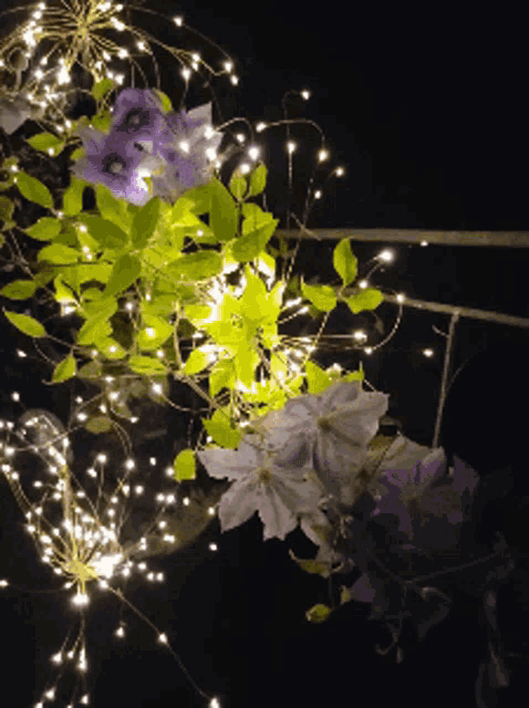 purple and white flowers are surrounded by fairy lights