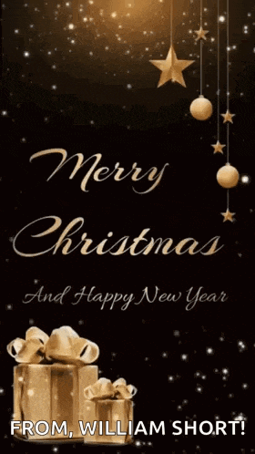 a merry christmas and happy new year greeting card