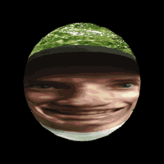 a sphere with a picture of trees on it
