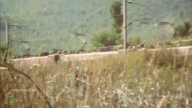 a field of tall grass with a 1080p video on the bottom right