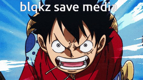 monkey d luffy from one piece with the words blqkz save media written above him