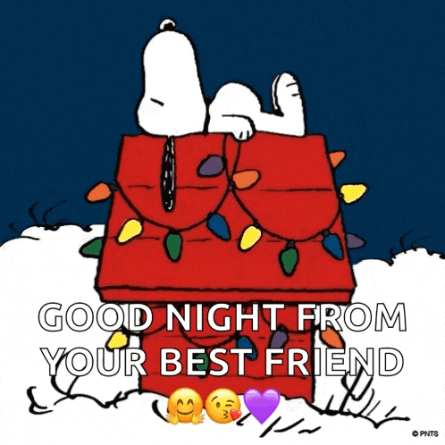 a picture of snoopy laying in a box with christmas lights on it