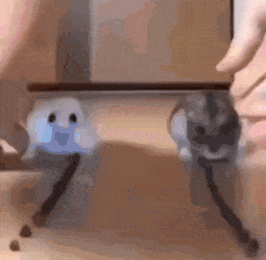 a blurred image of a ghost and a hamster on a tripod