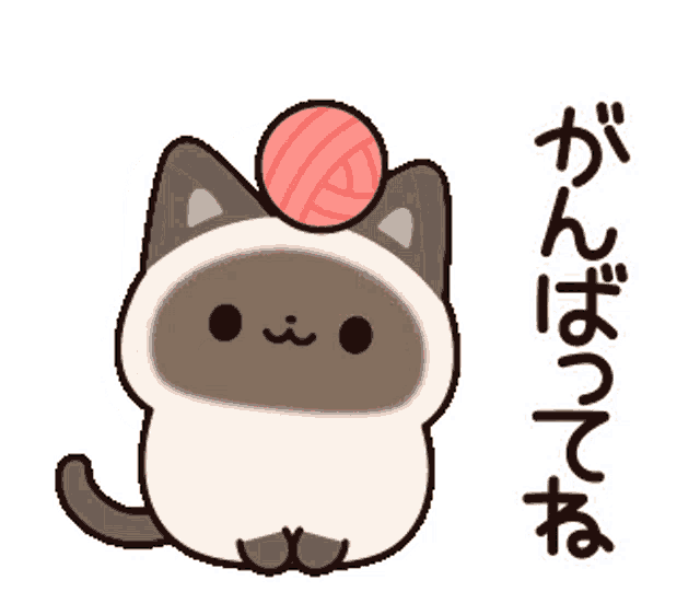 a cat with a ball of yarn on top of it 's head