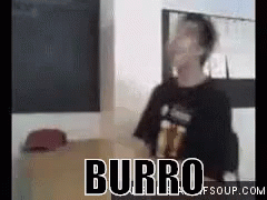 Burro GIF - Burro Idiota Imbecil GIFs