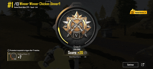 a screenshot of a game that says winner winner chicken dinner
