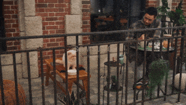 a samsung ad shows a man sitting at a table with a cat on a stool
