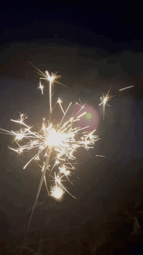 Independence Day GIF - Independence Day GIFs