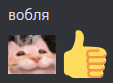 a picture of a cat and a thumbs up icon