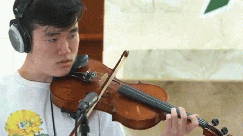 Violin Playing GIF - Violin Playing Musician GIFs