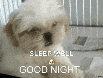 Good Night GIF - Good Night Dog GIFs