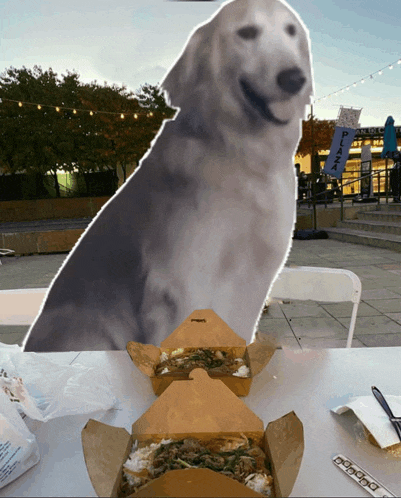 a dog is sitting at a table with boxes of food and a sign that says pizza