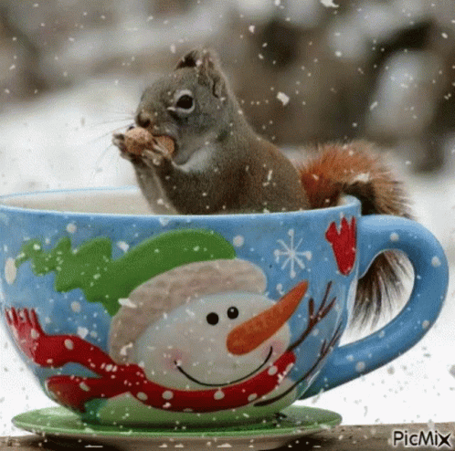 Happy Christmas Eve Friends GIF - Happy Christmas Eve Friends Squirrel GIFs