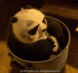a panda bear is laying in a bucket .