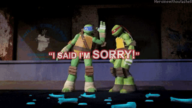 two teenage mutant ninja turtles are standing next to each other and saying i said i 'm sorry .