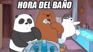 Hora Del Baño GIF - We Bare Bears Escandalosos Hora Del Bano GIFs