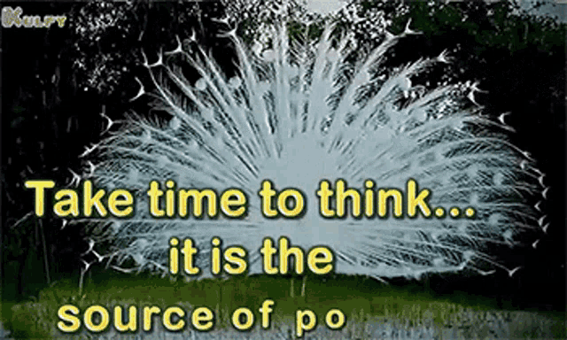 a picture of a peacock with a quote that says take time to think it is the source of po