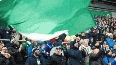 Cheering Northern Ireland GIF - Cheering Northern Ireland Waving Flag GIFs