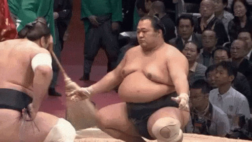 Sumo Sumo Fight GIF - Sumo Sumo Fight Japan GIFs