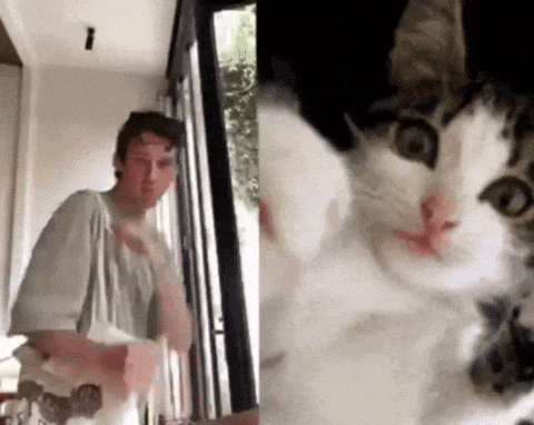 a man and a cat are standing next to each other and looking at the camera .