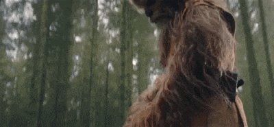 a close up of a dog standing in the woods with its paw in the air .