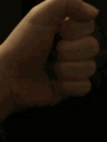 a close up of a person 's hand making a fist in the air .