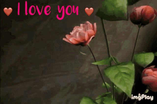 a gif that says i love you with flowers