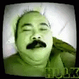 Hulk Green GIF - Hulk Green Chubby GIFs