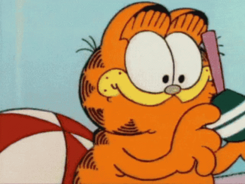 Garfield Shades On GIF - Garfield Shades On Smile GIFs