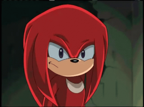 Sonic X Knuckles GIF - Sonic X Knuckles Punch GIFs