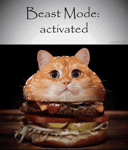 a cat that looks like a hamburger with the words " beast mode activated " above it