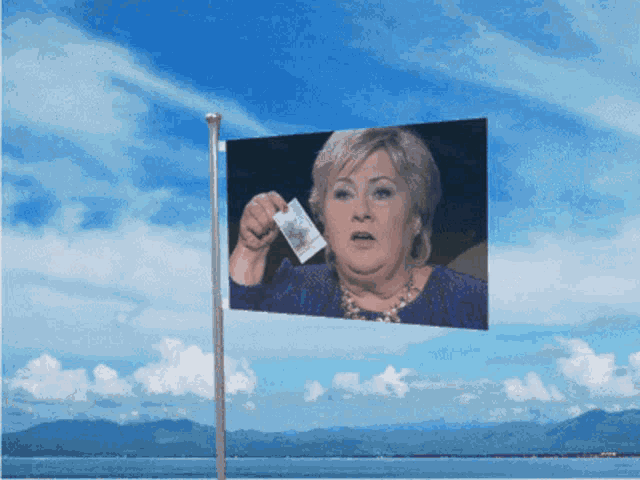 a flag that has a picture of a woman holding a piece of paper