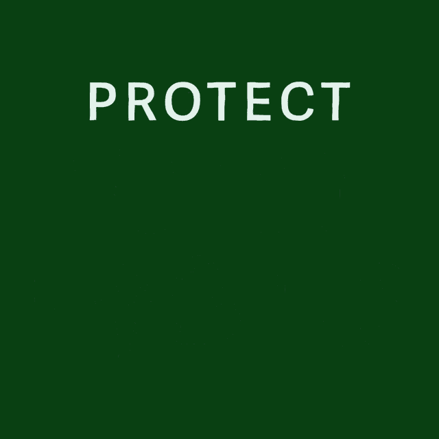 a green sign that says protect voting rights on it