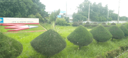 a sign with the letter z on it is surrounded by trees