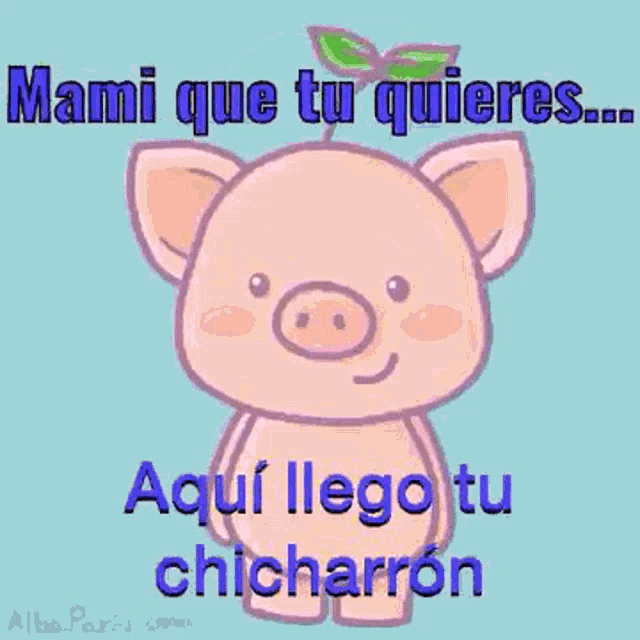 a cartoon pig wearing sunglasses and the words mami que tu quieres