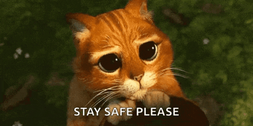 a cartoon cat with big eyes is asking to stay safe please .