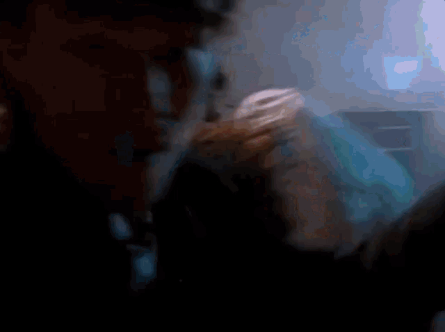 The Levellers Folk GIF
