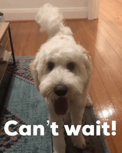 Cant Wait GIF - Cant Wait GIFs