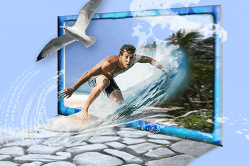 a picture of a man surfing with a seagull flying in the background